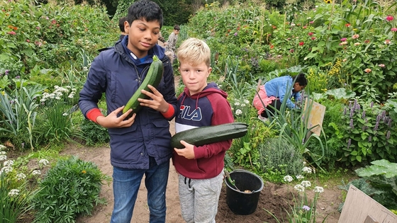 Schooltuin(levens)lessen