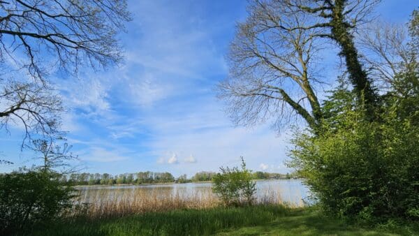 Mondig op Zondag workshop: De Grote Ommekeer