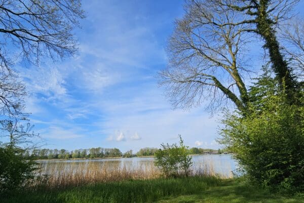 Mondig op Zondag workshop: De Grote Ommekeer